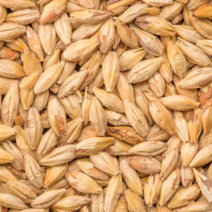 Biscuit BEST BESTMALZ