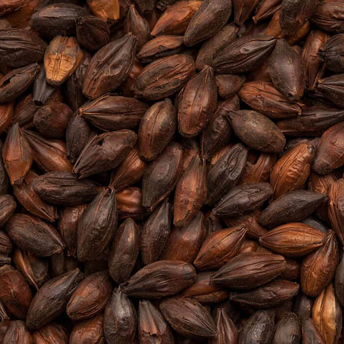 Black Malt eXtra BEST BESTMALZ