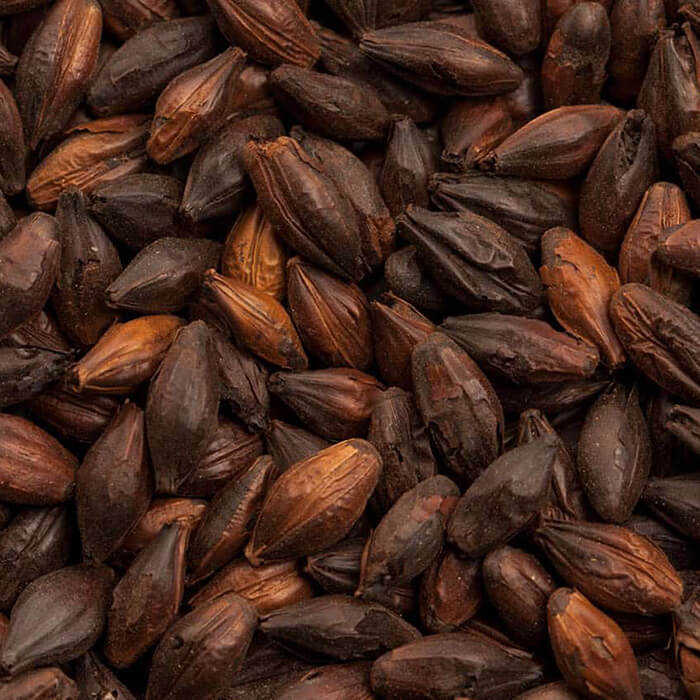 Black Malt BEST BESTMALZ