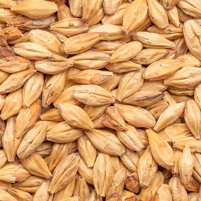 Caramel® Hell BEST BESTMALZ