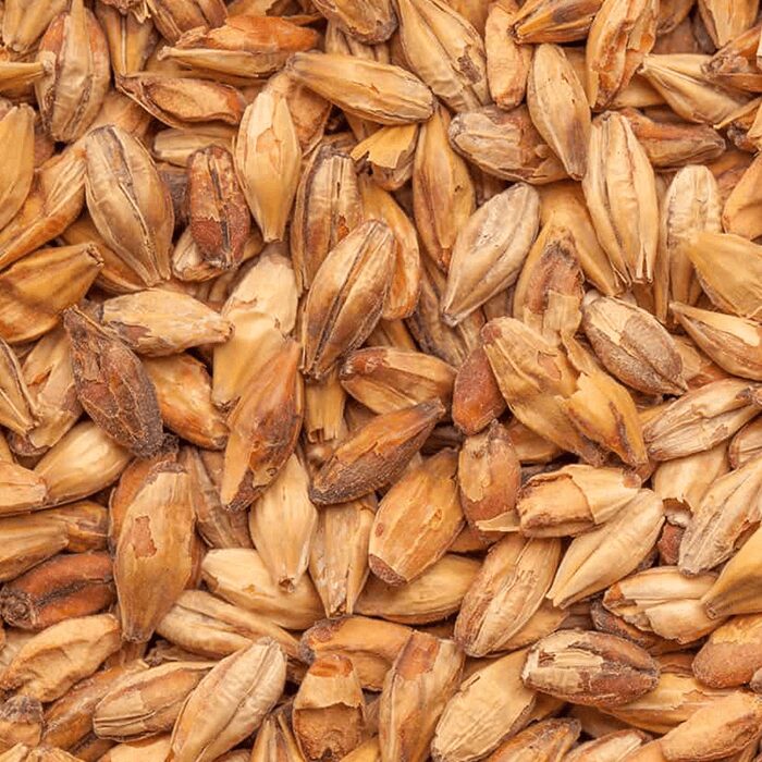 Caramel Munich I BEST BESTMALZ