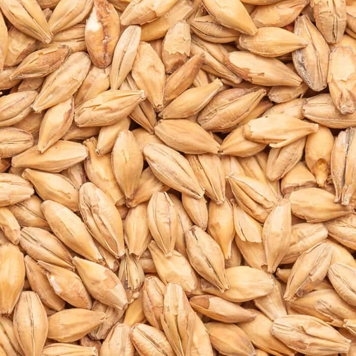 Caramel® Pils BEST BESTMALZ