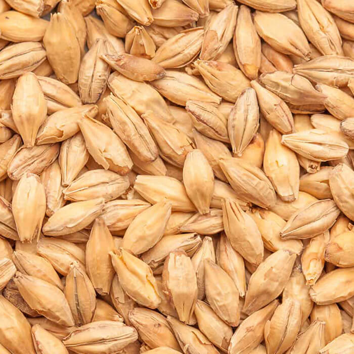 Chit Malt BEST BESTMALZ