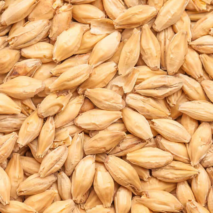 Heidelberg BEST BESTMALZ