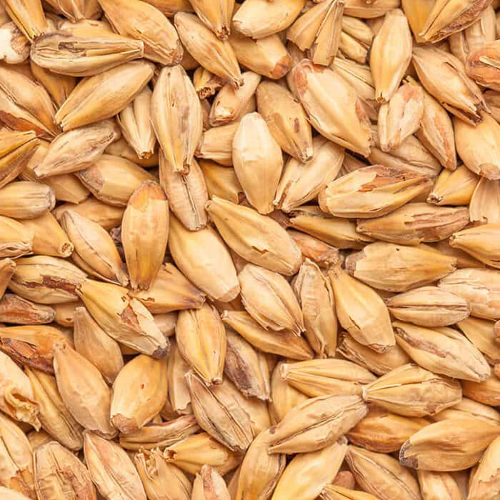 Melanoidin Light BEST BESTMALZ