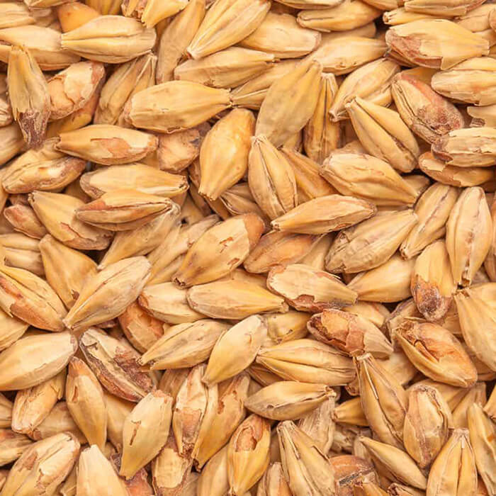 Melanoidin BEST BESTMALZ