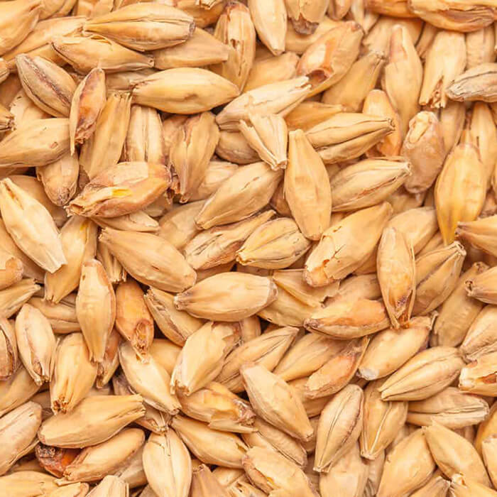 Munich Dark BEST BESTMALZ