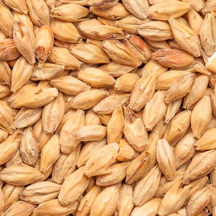 Munich BEST BESTMALZ