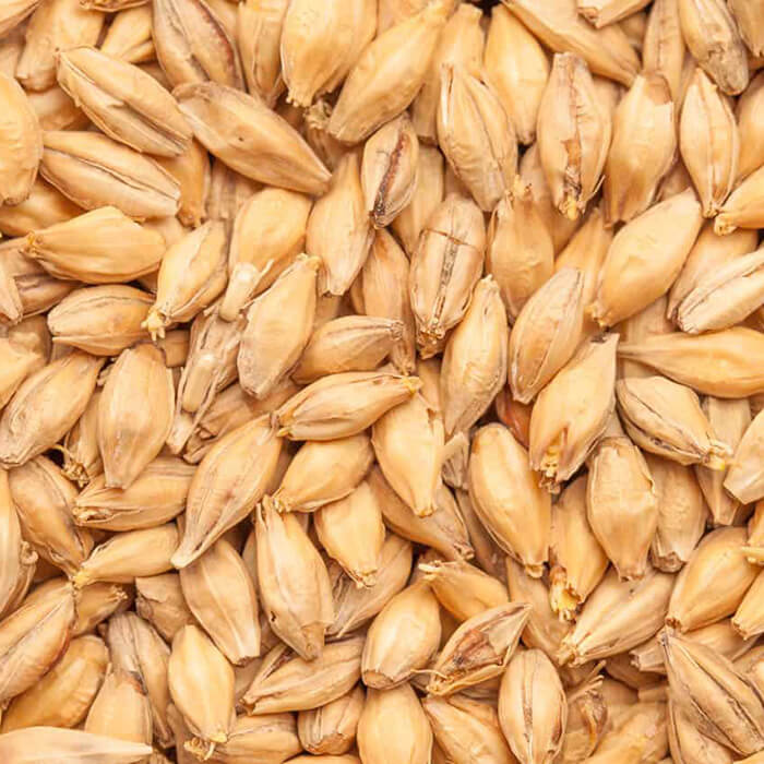 Pilsen Malt BEST BESTMALZ