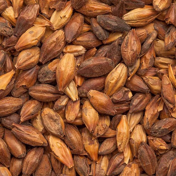 Special X BEST BESTMALZ