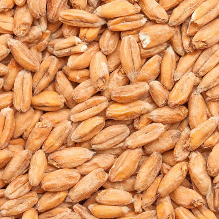 Spelt Malt BEST BESTMALZ