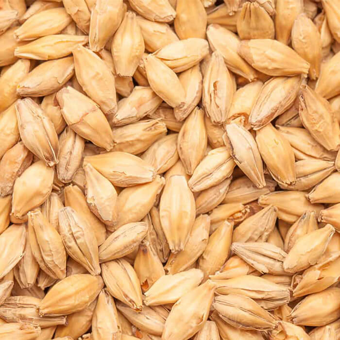 Vienna Malt BEST BESTMALZ