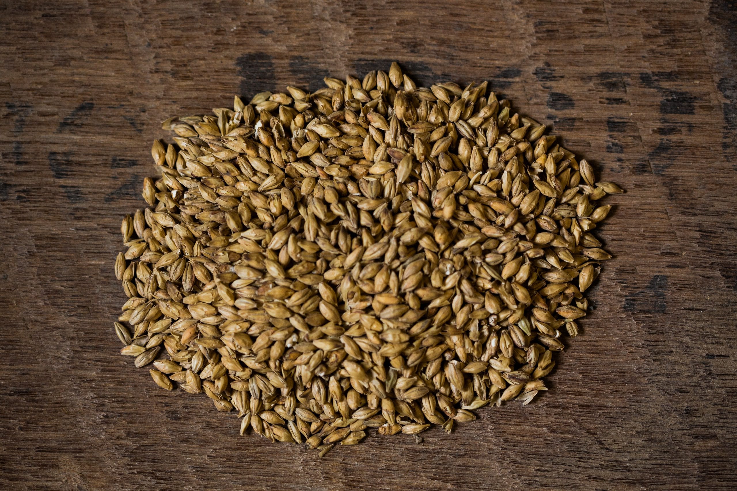 Pale Ale Malt Bairds