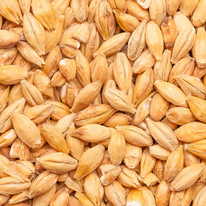 Acidulated Malt BEST BESTMALZ