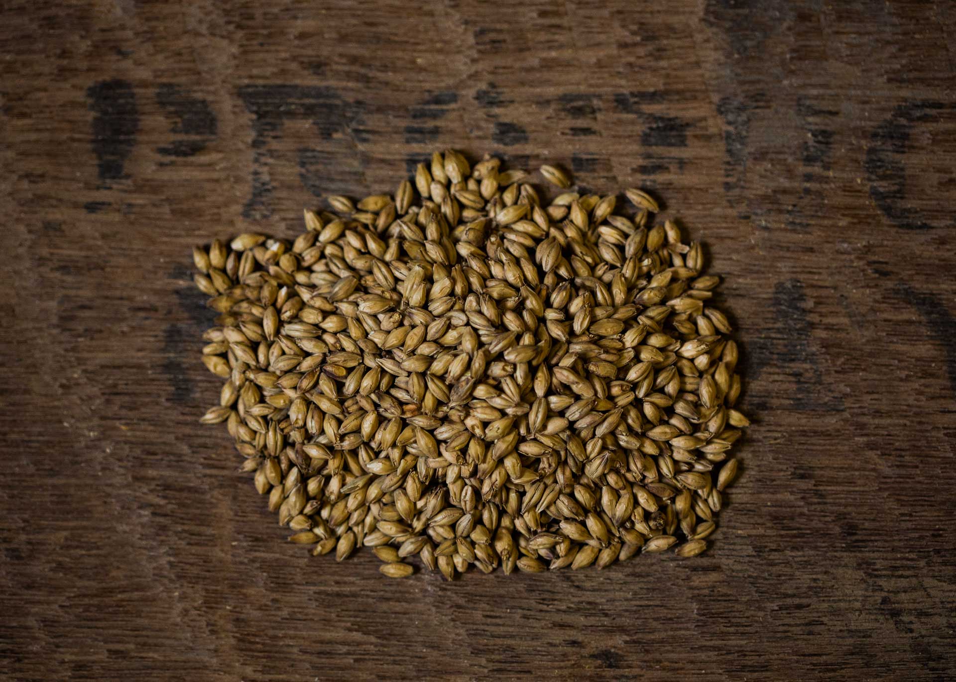 Extra Pale Ale Malt Bairds