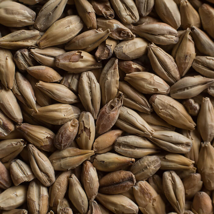 Chateau Chit Wheat Malt Flakes Castle Malting