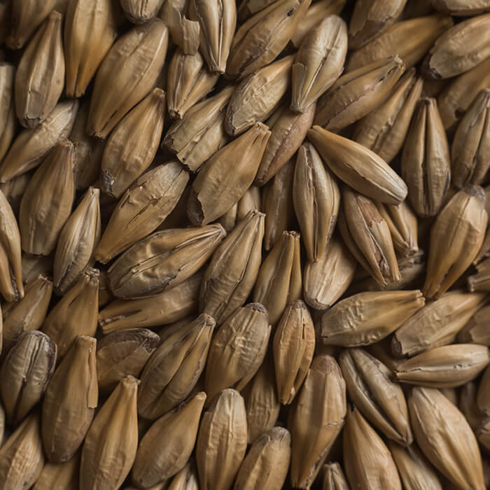 Chateau Cara Blond Castle Malting