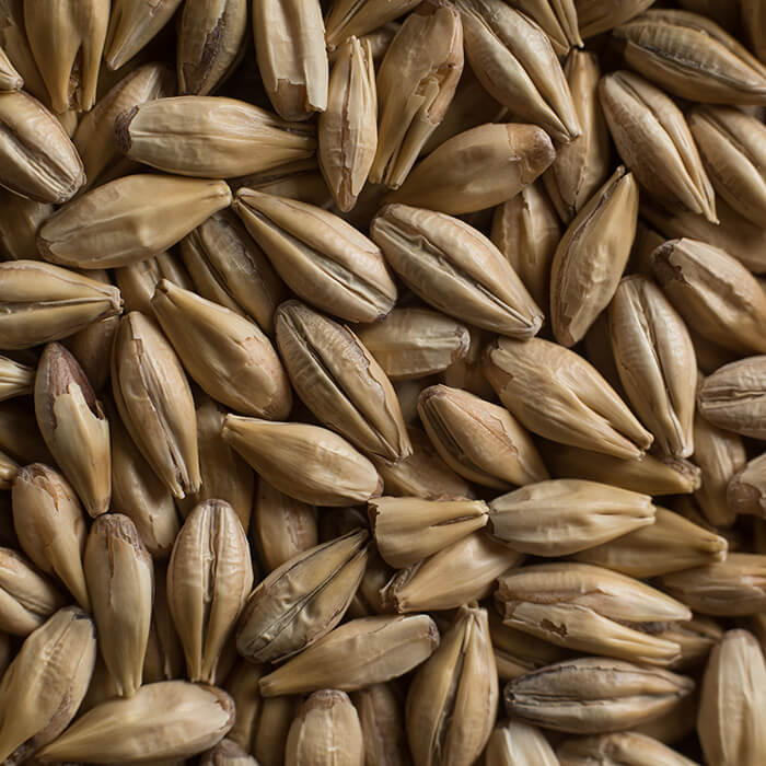 Chateau Cara Clair Castle Malting