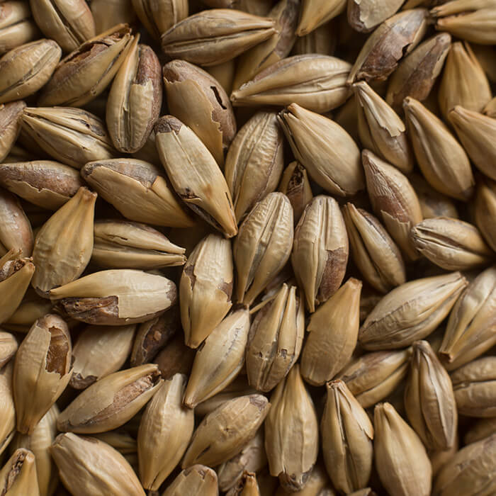 Chateau Cara Ruby Castle Malting