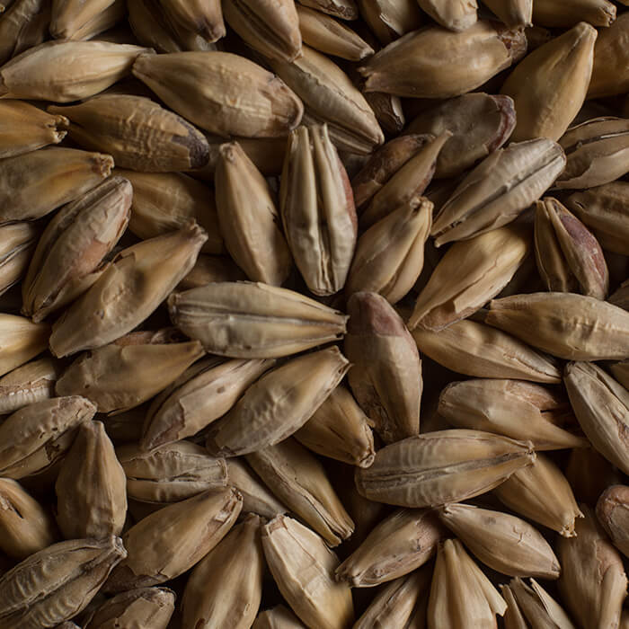 Chateau Melano Light Castle Malting