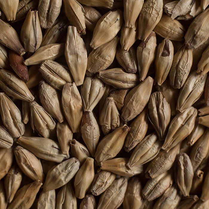 Chateau Melano Castle Malting