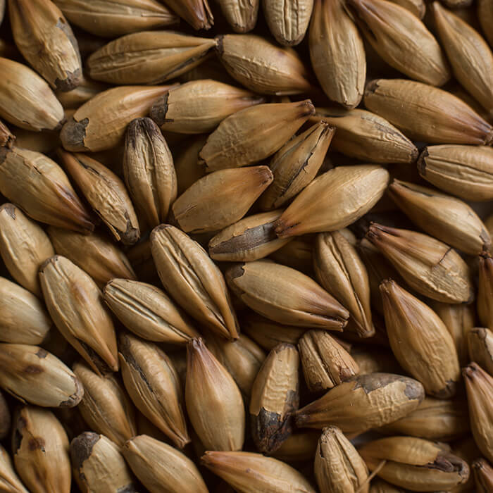 Chateau Special Belgium Castle Malting