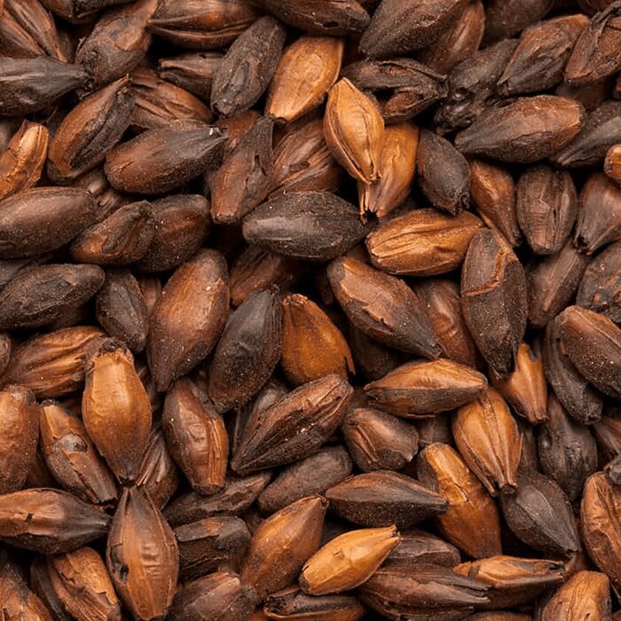 Chocolate Malt BEST BESTMALZ