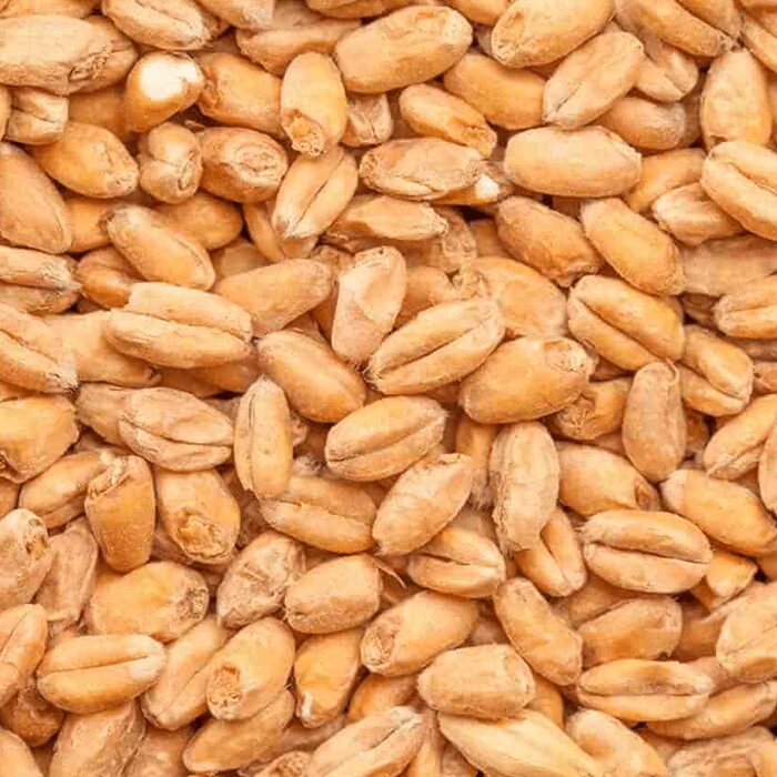 Heidelberg Wheat Malt BEST BESTMALZ