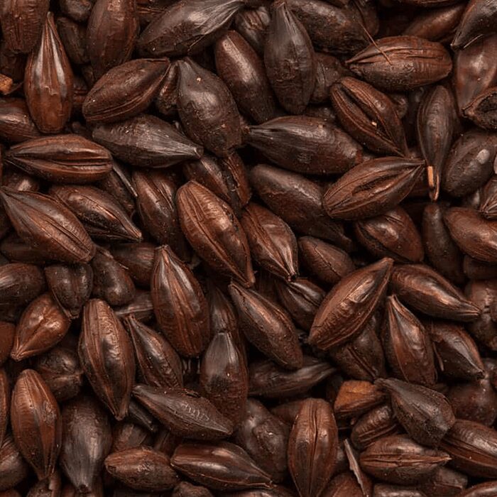 Roasted Barley BEST BESTMALZ