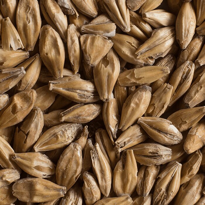 Chateau Acidulated Malt Castle Malting