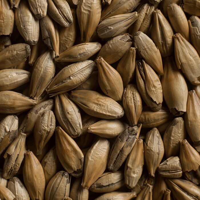 Chateau Cara Gold Malt Castle Malting