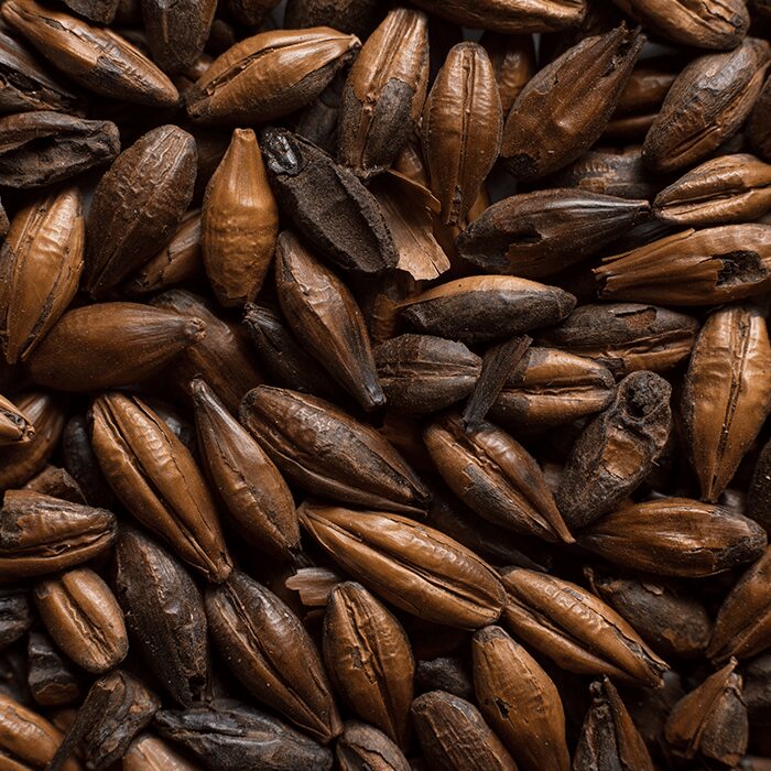 Chateau Chocolat Malt Castle Malting