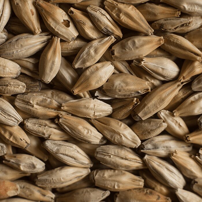 Chateau Crystal Malt Castle Malting