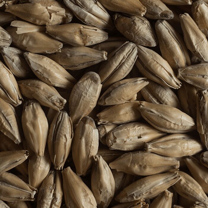 Chateau Munich Malt Castle Malting