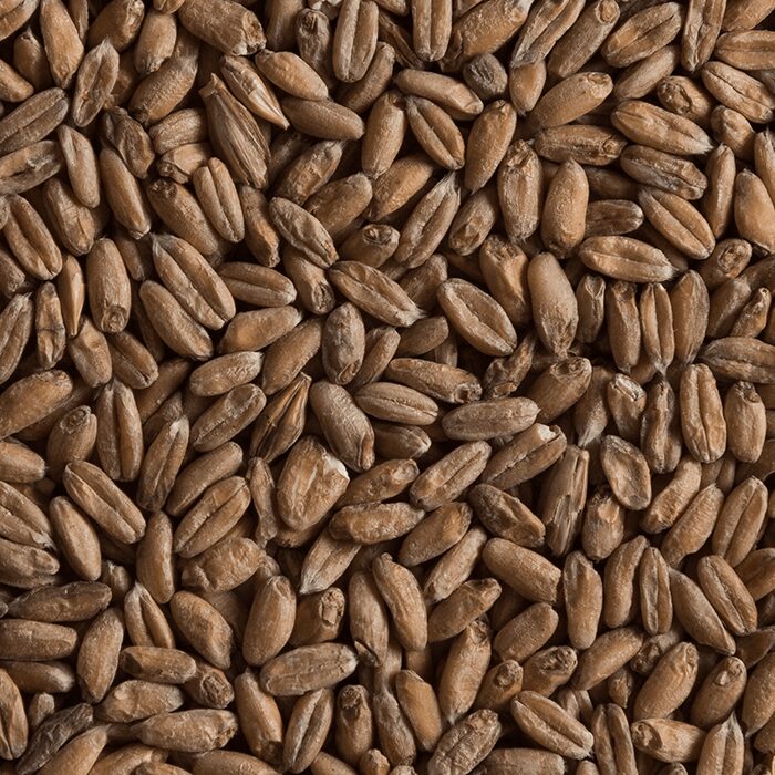 Chateau Spelt Malt Castle Malting