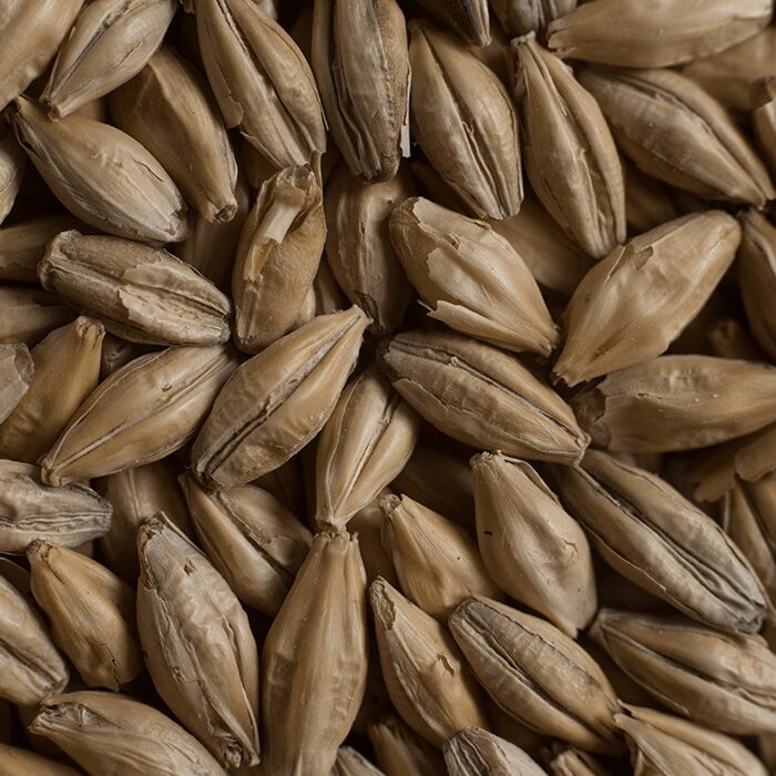 Chateau Vienna Malt Castle Malting