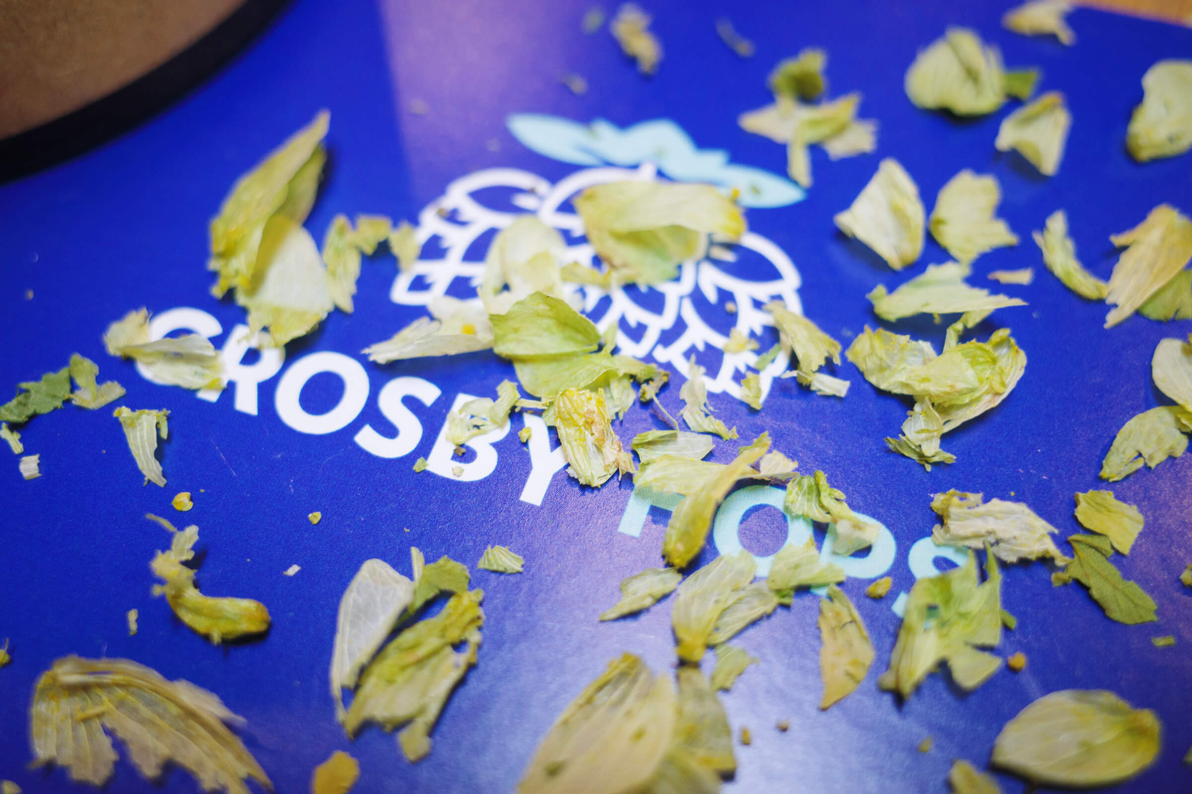Crumbled hop flowers of Crosby Hops Centennial hops on a mat after hop selection at Crosby Hops during the 2024 Oregon US Hop Harvest