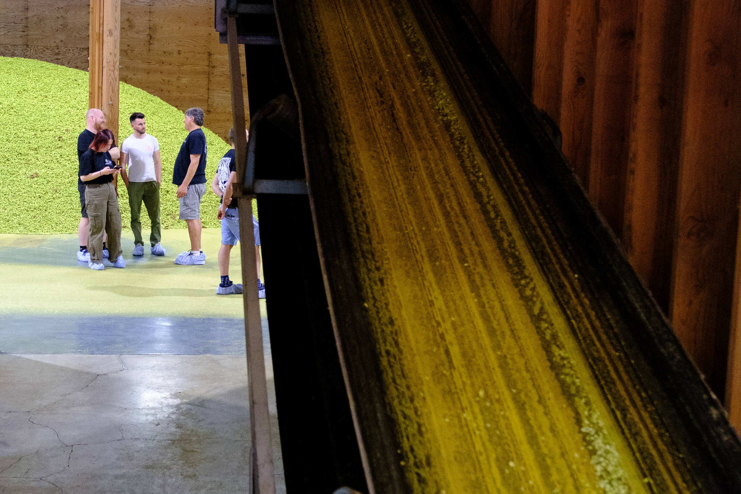 Dan Rybinski, Andrew Hamilton & Jim Solberg at the Gosche Farms hop storage room in Oregon during hop harvest 2024.