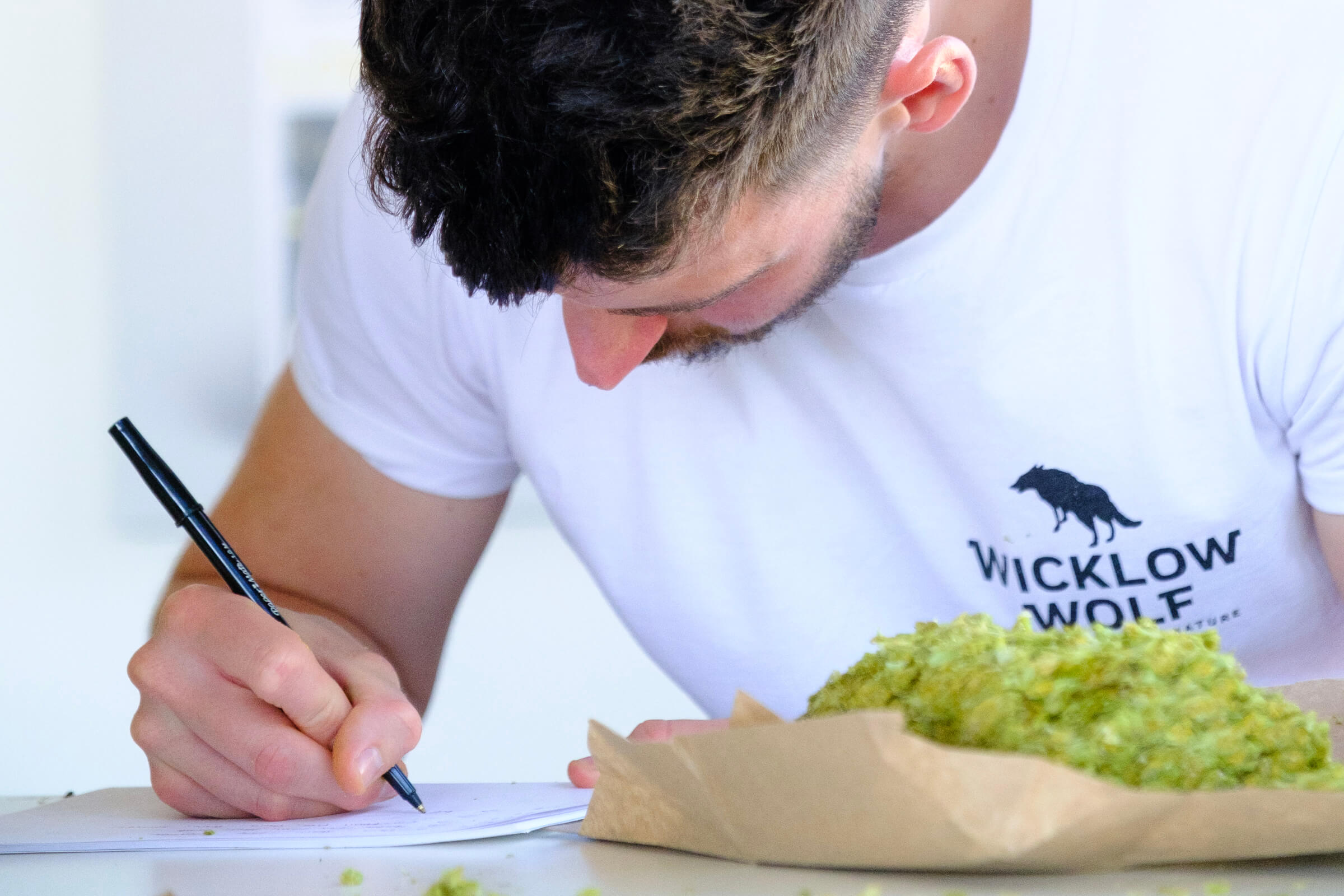 Andrew Hamilton, head brewer of Wicklow Wolf, makes notes during Indie Hops Strata selection at Indie Hops HQ during hop harvest in Portland, Oregon