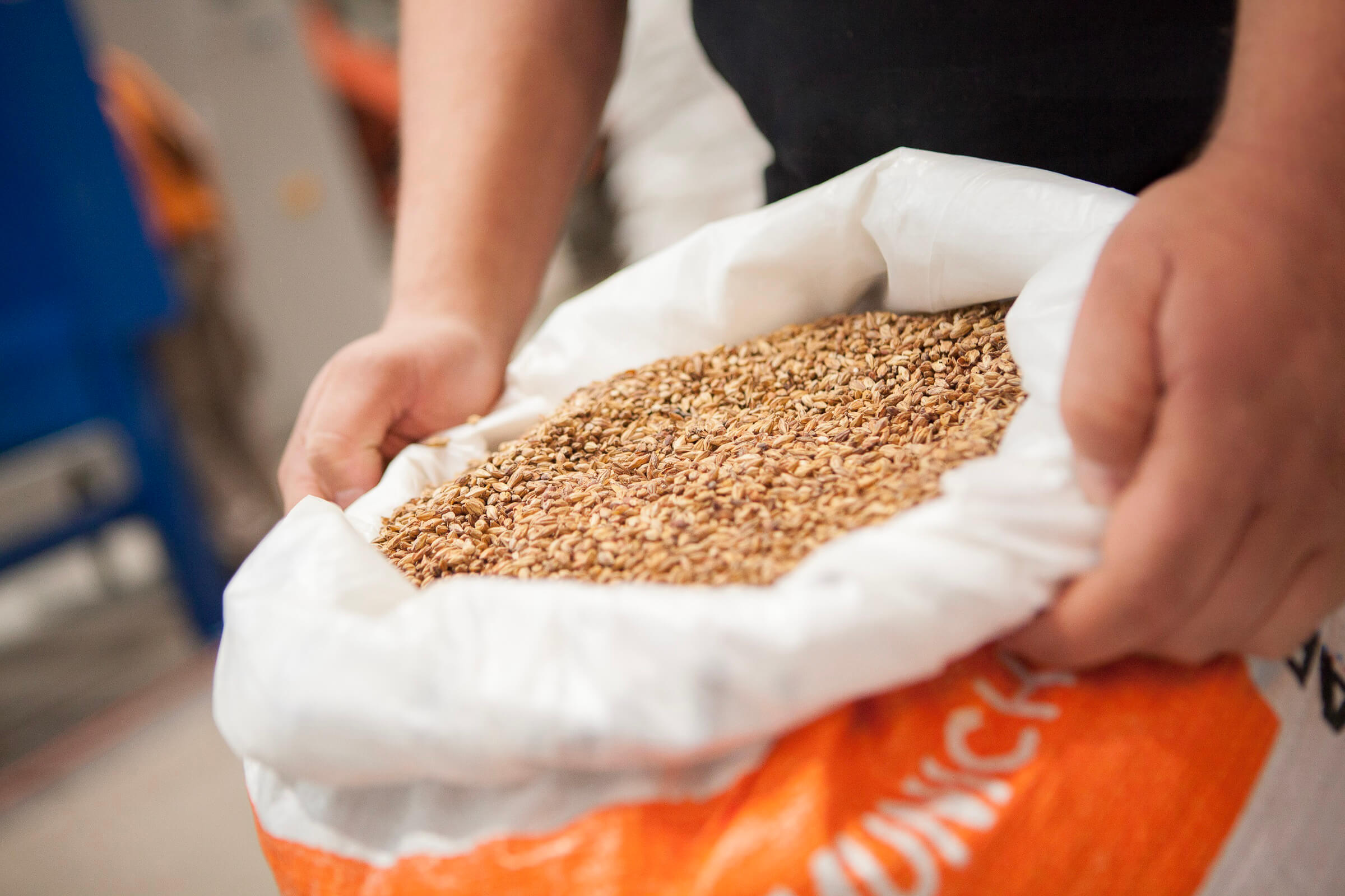 An open malt sack of BESTMALZ BEST Munich malt showing the light yellow colour of the malt.