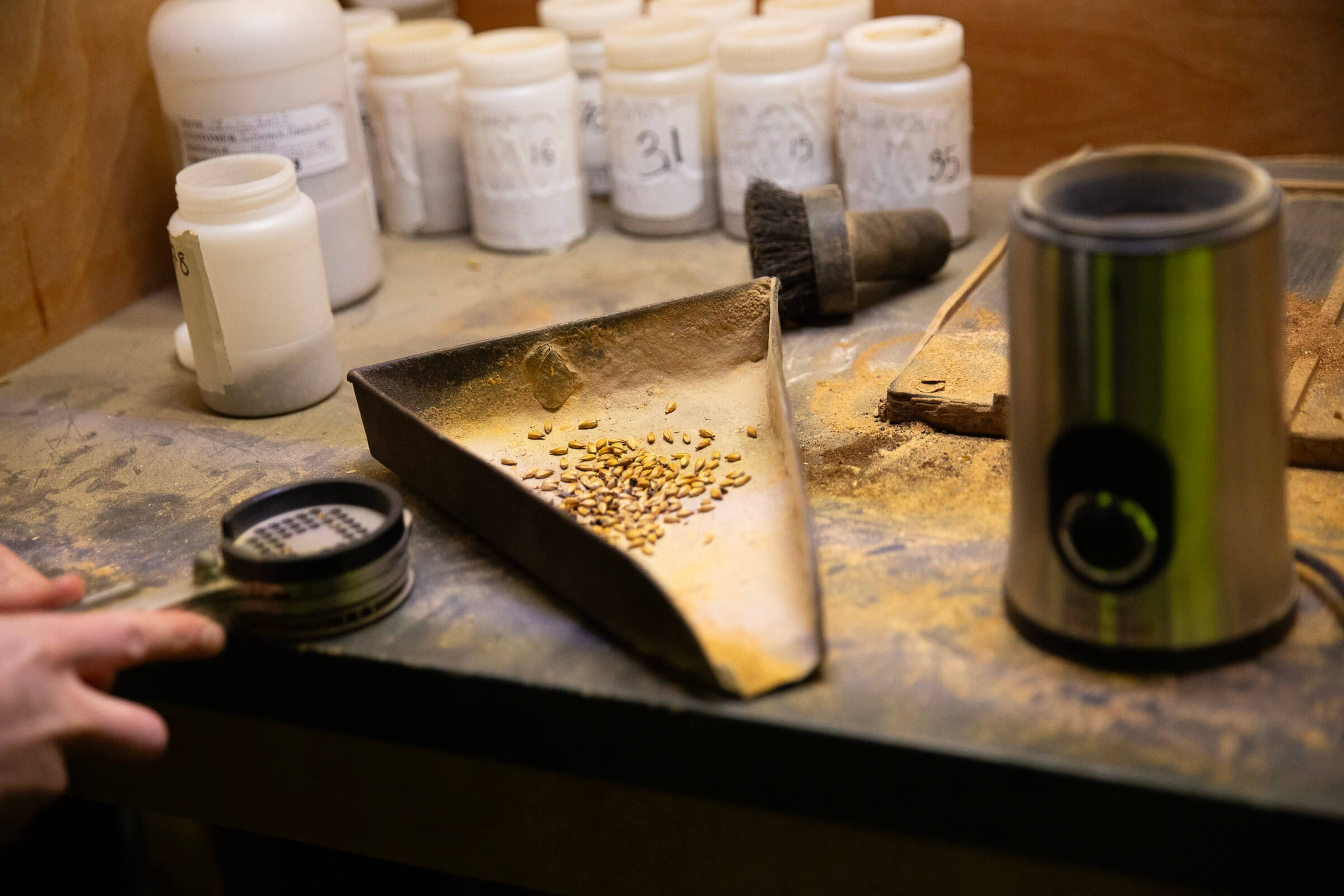 Samples of roasted barley being analysed for grind and friability in the Rouse House at the Bairds Maltings Witham plant in Essex, UK