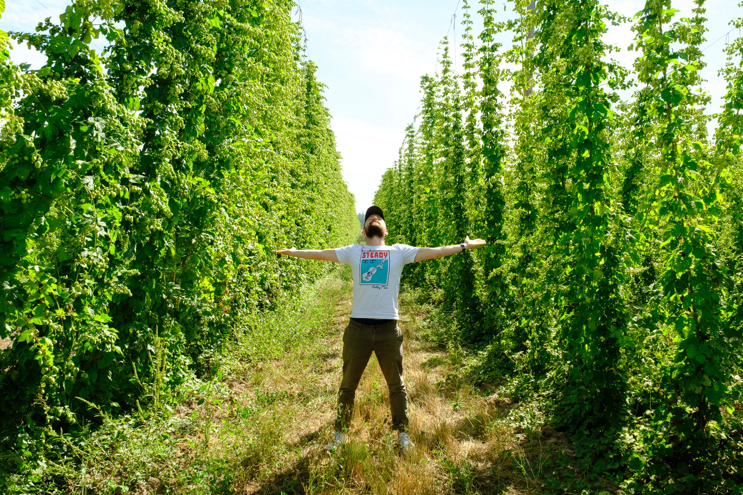 DEYA head brewer Gareth Moore stands in a field of hops in Oregon during his visit for hop selection for the 2024 batch of ‘Steady Rolling Strata’