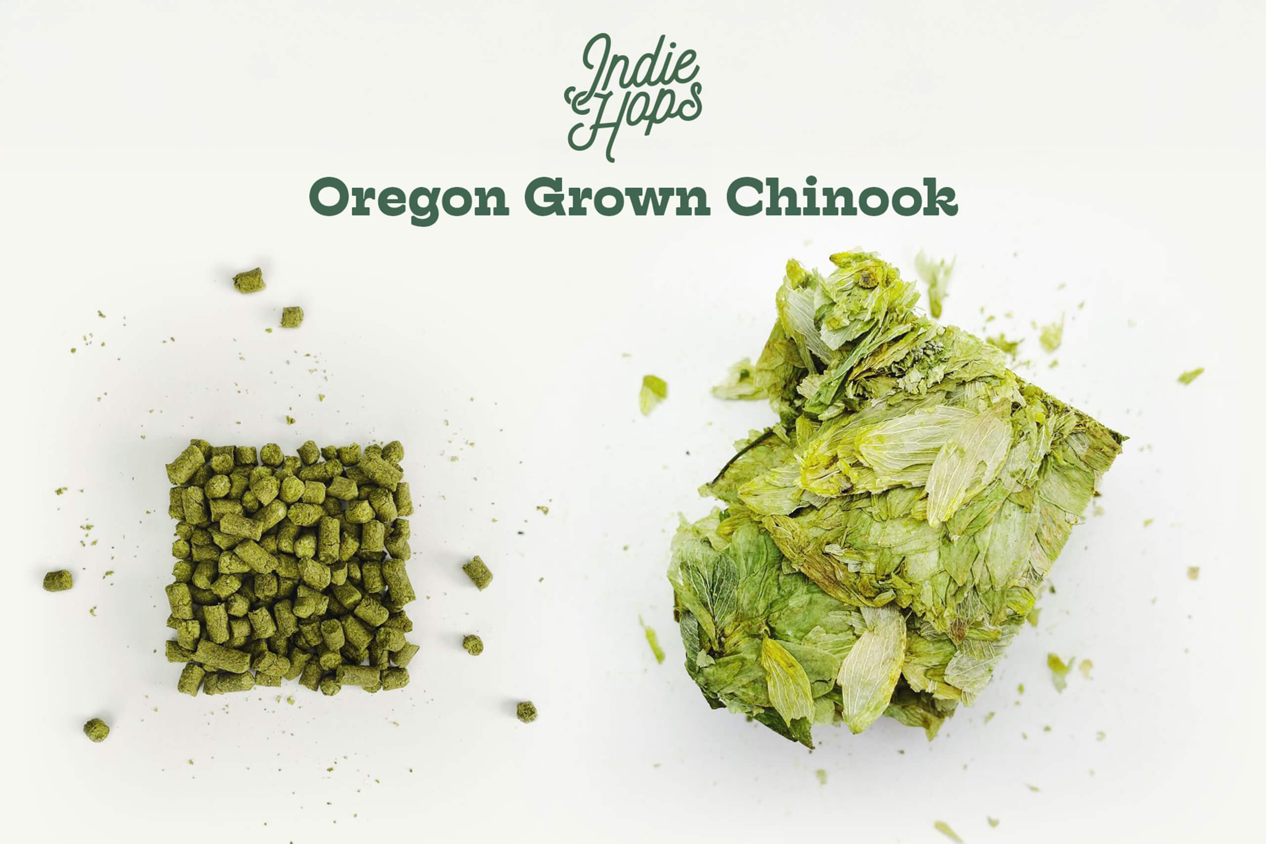 T90 pellets of Indie Hops Oregon-grown Chinook & leaf bales on a table