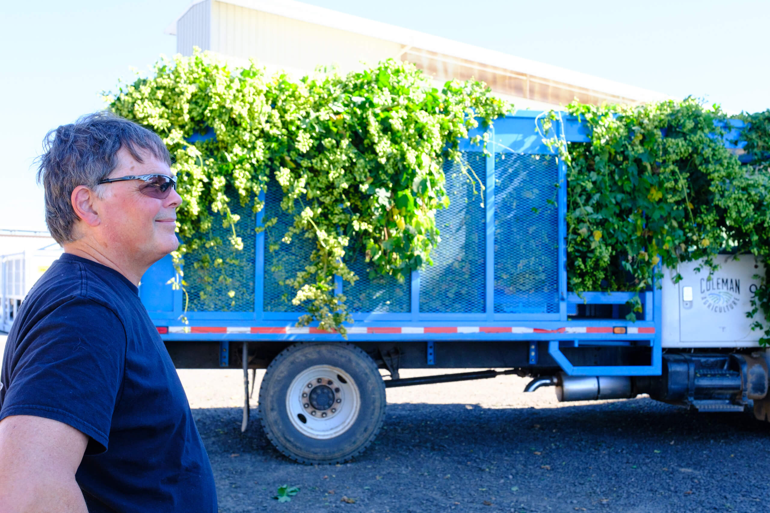 Jim Solberg stands in front of a Coleman Agriculture truck loaded with hop bines during 2024 hop harvest in St Paul, Oregon