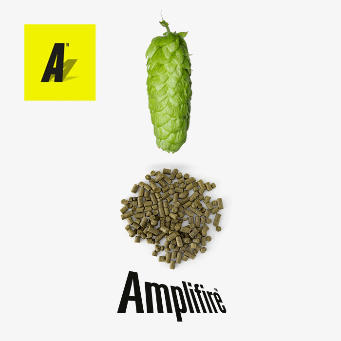 Clayton Hops Nelson Sauvin Amplifire Pellets