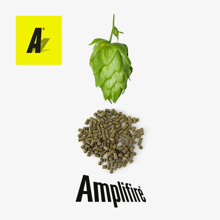 Clayton Hops Motueka Amplifire Pellets