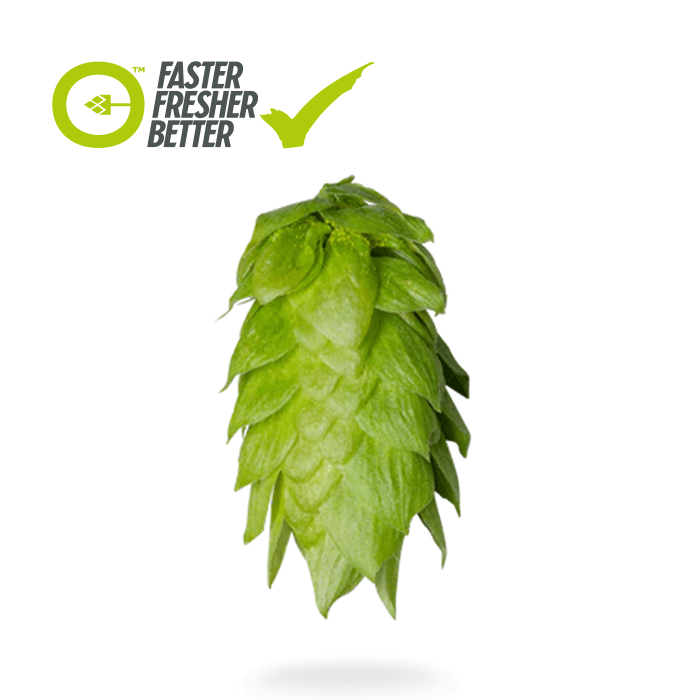 Clayton Hops Rakau